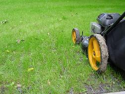 Einfache Pflege von EcoGreen den begrunten EcoRaster - mit Rasenmahern und Rasentraktoren